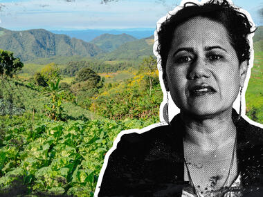 Mar&iacute;a Ciro, CISCA, Colombia